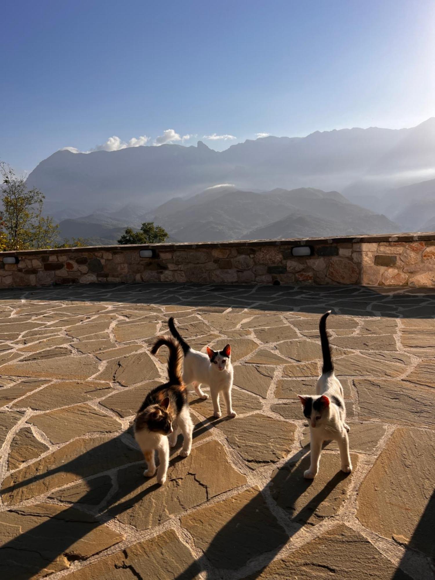 Affittacamere Tovouno Plaka  Esterno foto