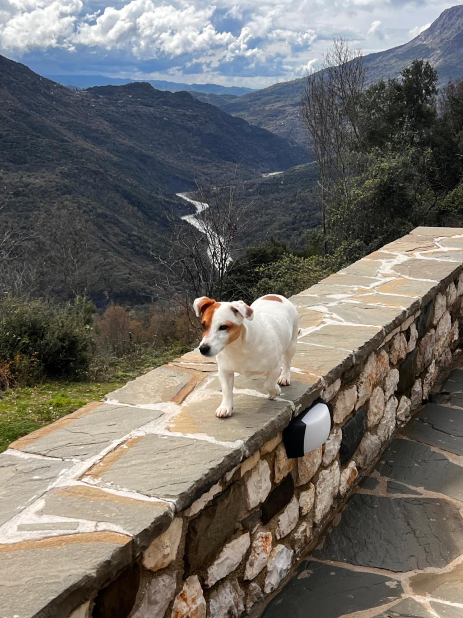 Affittacamere Tovouno Plaka  Esterno foto